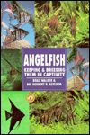 Angelfish: Keeping and Breeding Them In Captivity -- BUY THE BOOK NOW !!